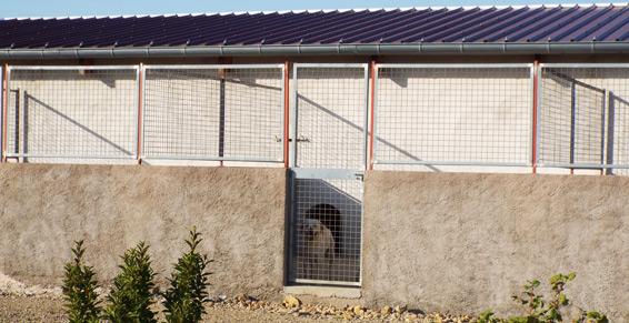 Pension pour chien